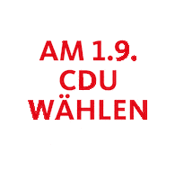 CDU_BB cdu ingo ingo senftleben cdu brandenburg Sticker