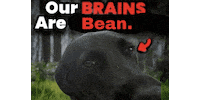 Black Dog Sticker