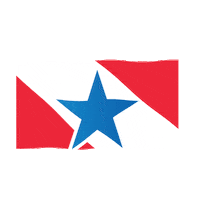 Estado Do Para Sticker by SECOMPA