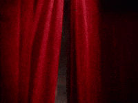 Say What Hold Up GIF by Luclover