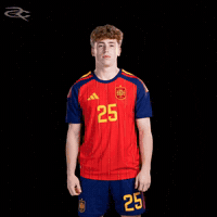 Fifa World Cup Spain GIF by Respective