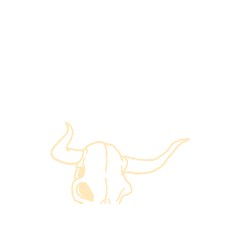 Country Outlaw Sticker by DEBUFFEL