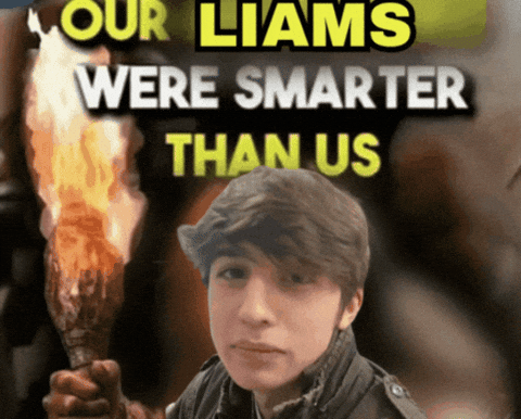 learnyourself giphygifmaker meme giphycreatortest liam GIF