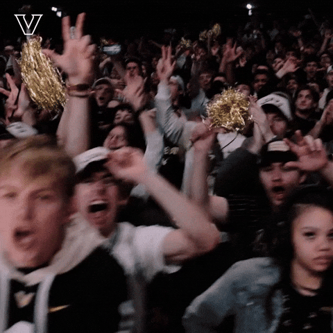 Sport Celebrate GIF by Vanderbilt Athletics