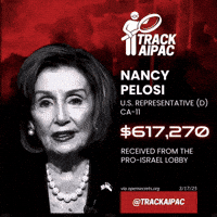Nancy Pelosi Democrat GIF by Respective