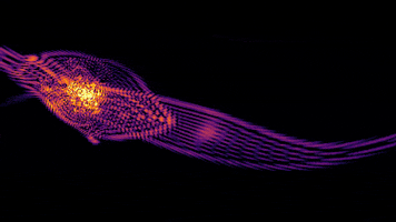 Universe Galaxy GIF by MIT