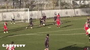 Pogon GIF