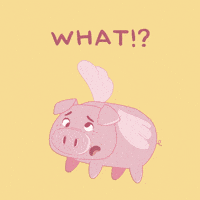 Excuse Me What GIF by PositivelyPigasus