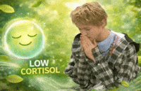 Cortis GIF