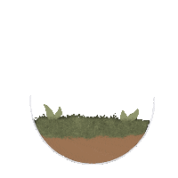 ugolenecreations terrarium ugolenecreations Sticker