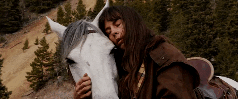 Horse Forest GIF by ANTI- Records