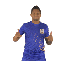 Carlos Heroisl Sticker by Indian Super League