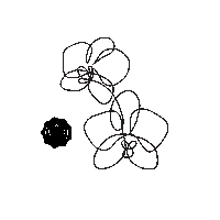 Mothers Day Flower Sticker by GLOSSYBOXUK
