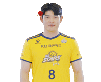 Kb스타즈 Sticker by KB STARS VOLLEYBALL CLUB