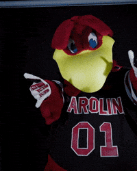 Mascot Spurs GIF by University of South Carolina