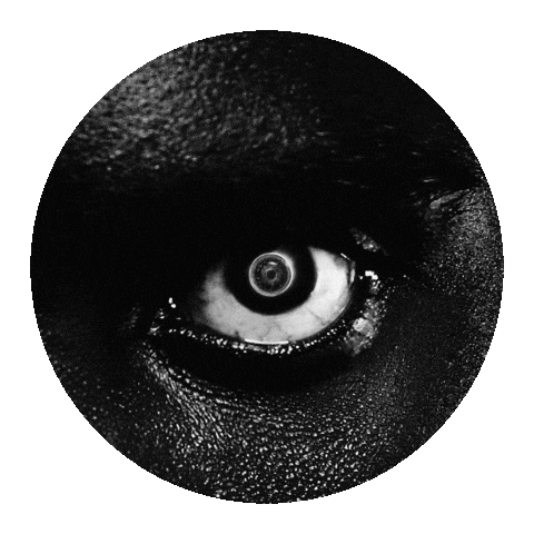 damso_gifs giphyupload album damso lithopédion Sticker