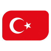 World Cup Football Sticker