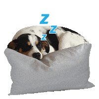 Sleepy Puppy Sticker by VNRO
