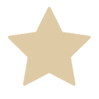 Star Sticker by Niche Magazine