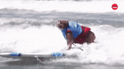 Dog Pet GIF by BuzzFeed