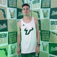 South Florida Horns Up GIF by USF Athletics