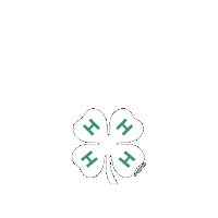 Beyond Ready Sticker by 4-H