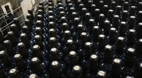 stefanycisneros  GIF