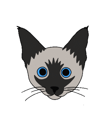 Cat Weirdcat Sticker by Jasi