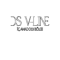 dsvlineicanadolu dsvline dsvlineiçanadolu içanadoludsvline dsvline iç anadolu Sticker