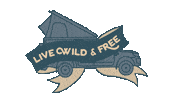 Driving Ford Sticker by #STEVENAUFREISEN