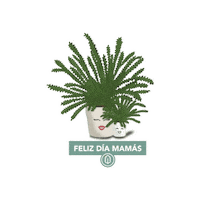 Mom Love Sticker by Huatan