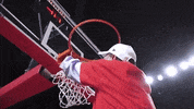 coogfans celebration celebrate champions university of houston GIF