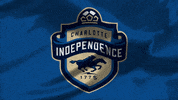 North Carolina Football GIF by USL