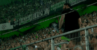 fans bouncing GIF by Borussia Mönchengladbach