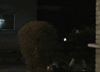 Walking Backpack GIF