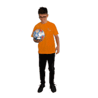 Football Sport Sticker by Angers