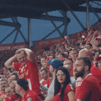 Widzewofi GIF by Widzew Łódź