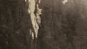 Fast And Furious Water GIF by The Fast Saga