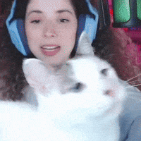 NathyTaLendo cat streamer gato fofo GIF
