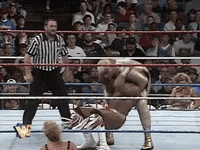 wwe sports wwe wrestling 1996 GIF