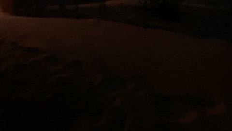 36963eff912e42ec88e1b126139d366d giphyupload GIF