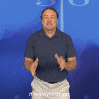 Buffalo Bills Football GIF by West Herr