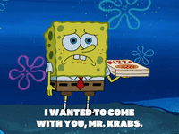 season 6 episode 10 GIF by SpongeBob SquarePants