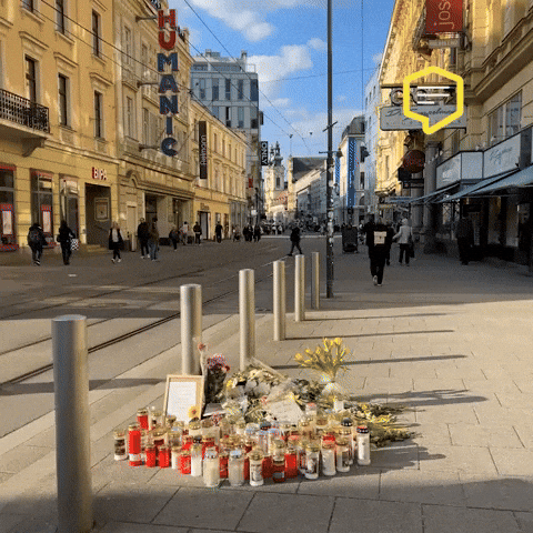 Flowers Rip GIF by Linz News