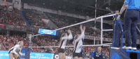 Georgia Tech Volleyball GIF by NCAA Championships