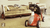 Puppy Biting GIF