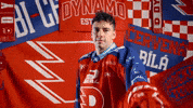 Libor GIF by HC Dynamo Pardubice
