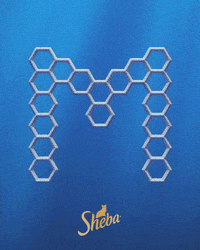 Letter Alphabet GIF by Sheba Official