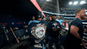 Blue Jays Baseball GIF by Toronto Blue Jays