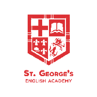 STGAcademy  Sticker